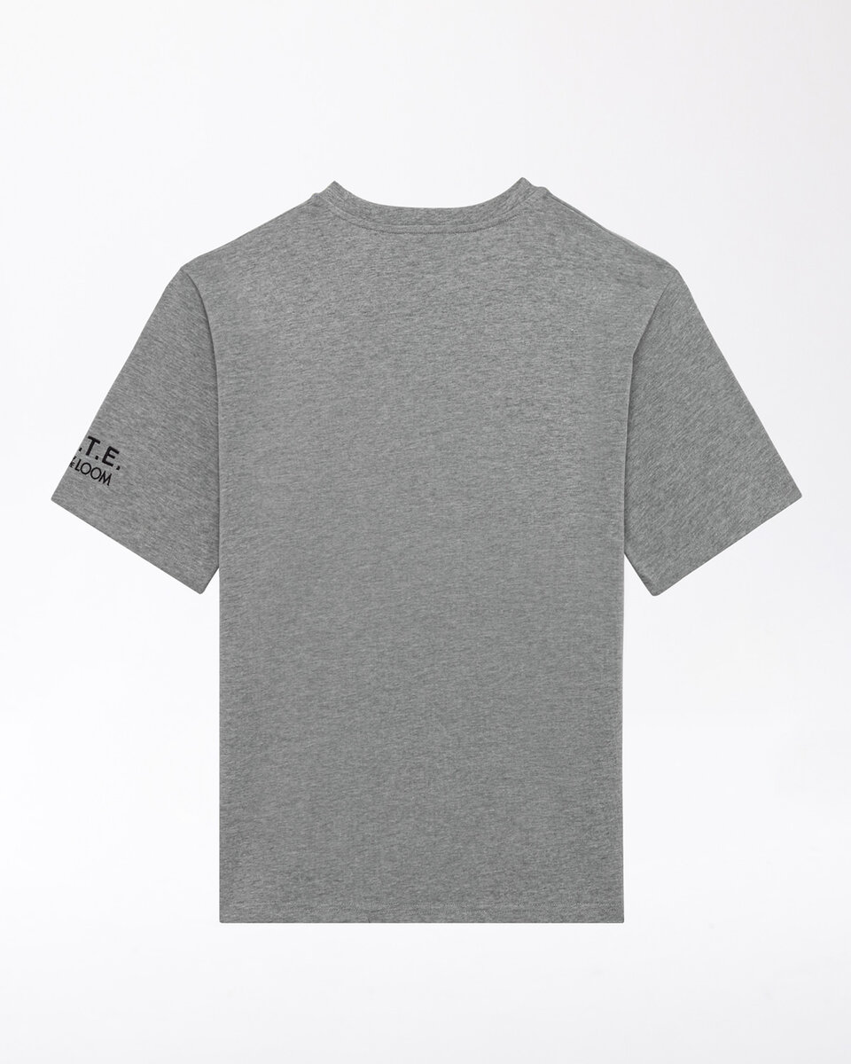 KOSZULKA FRUIT GRAY